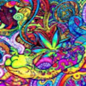 Meet your Posher, Lenaya